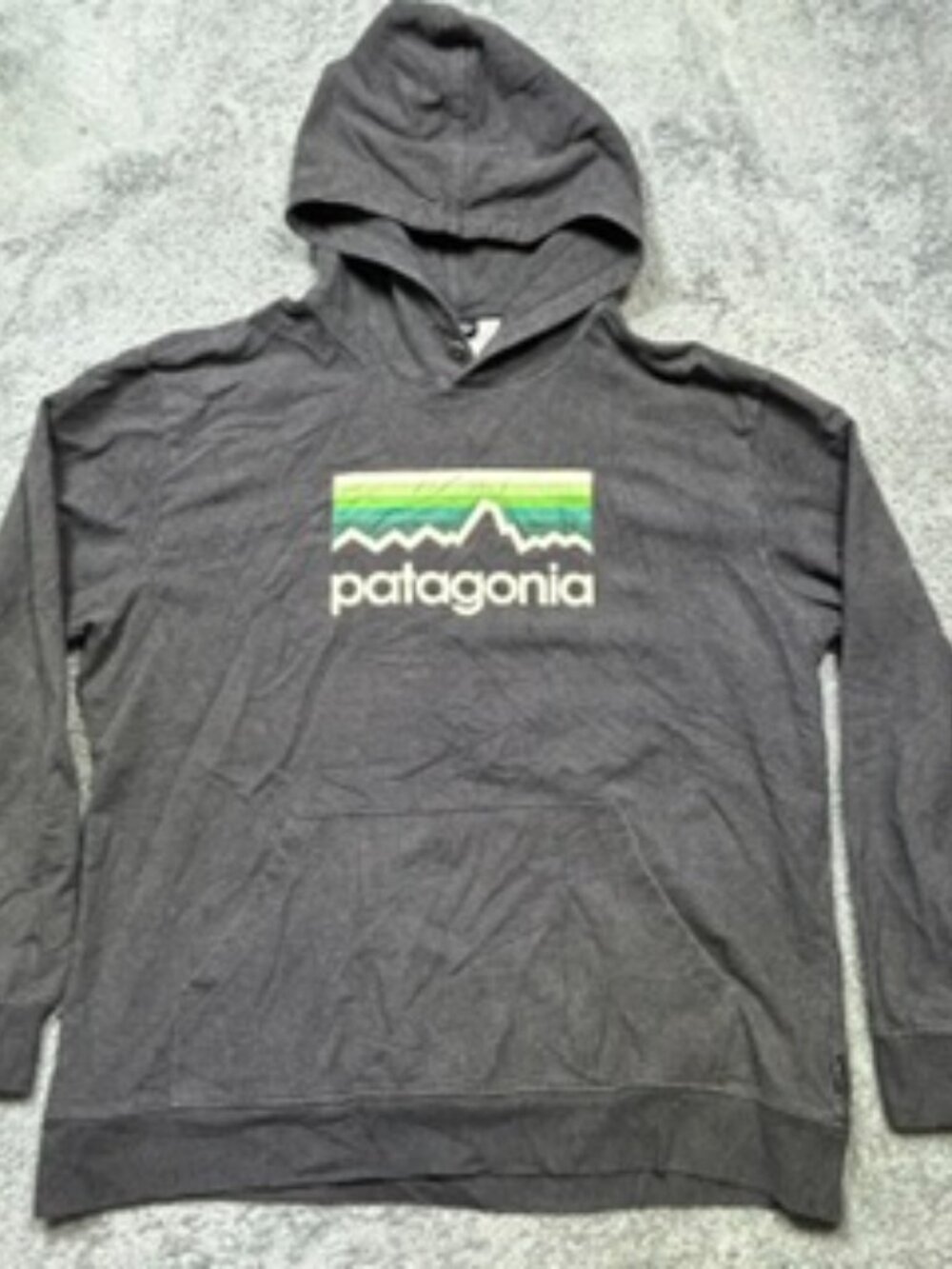 Patagonia Hoodie Men's XL Gray Line Logo Midweight Outdoor Organic Cotton 39456